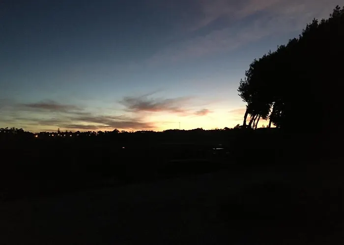 Art.lab * فاغوس